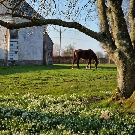 Le L ' O D G E Du Parc En Pleine Nature * Saint-Martin-le-Gaillard